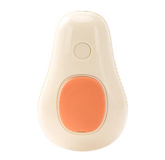 Pet Brush
